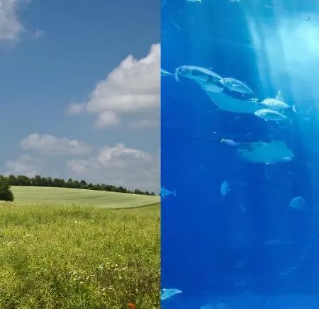 公寓 Studio-cosy 1 Vue Port A Deux Pas De Nausicaa *